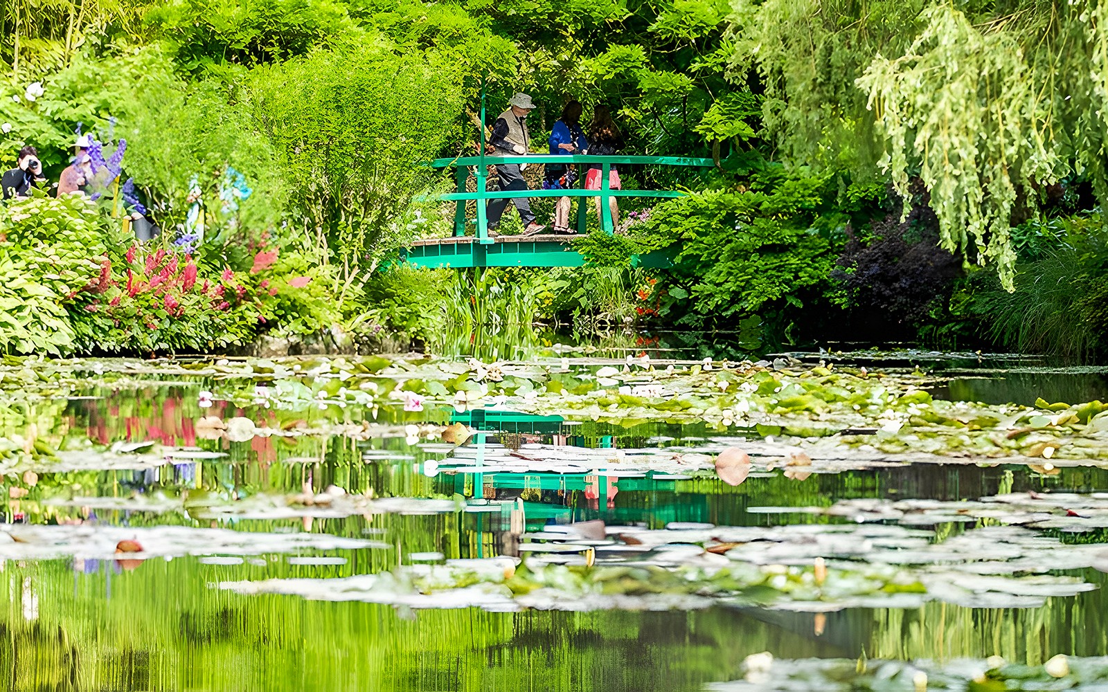 吉维尼的莫奈花园,游客们站在绿桥上,桥下是一个睡莲池。