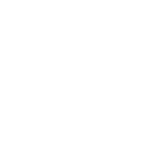 icon premium football