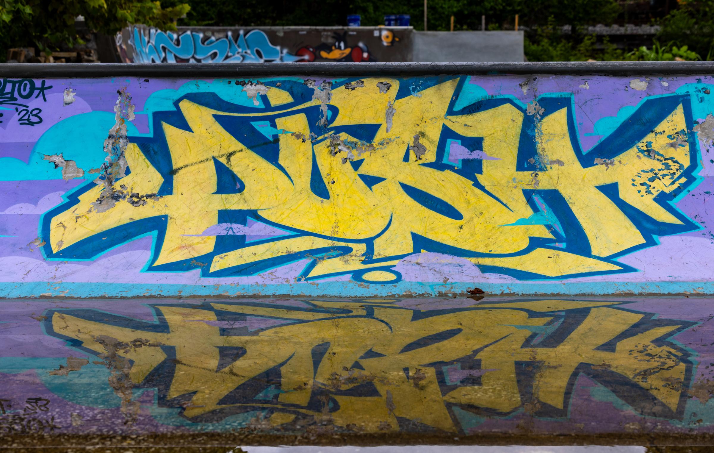 River Arts District - Skatepark Graffiti 02 - Asheville, NC