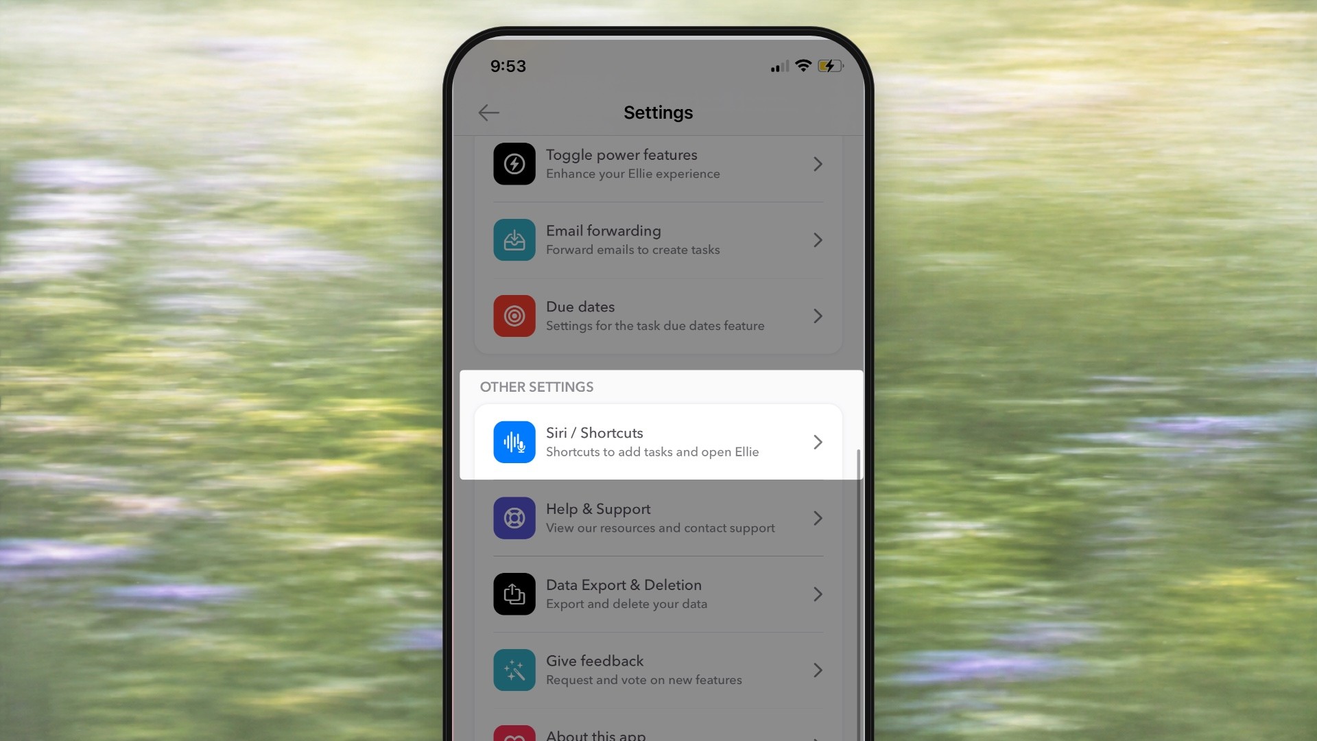 Ellie’s published Siri integration help image: an iPhone over a blurred meadow with the Siri / Shortcuts row highlighted and a status bar reading 9:53 with a charging battery