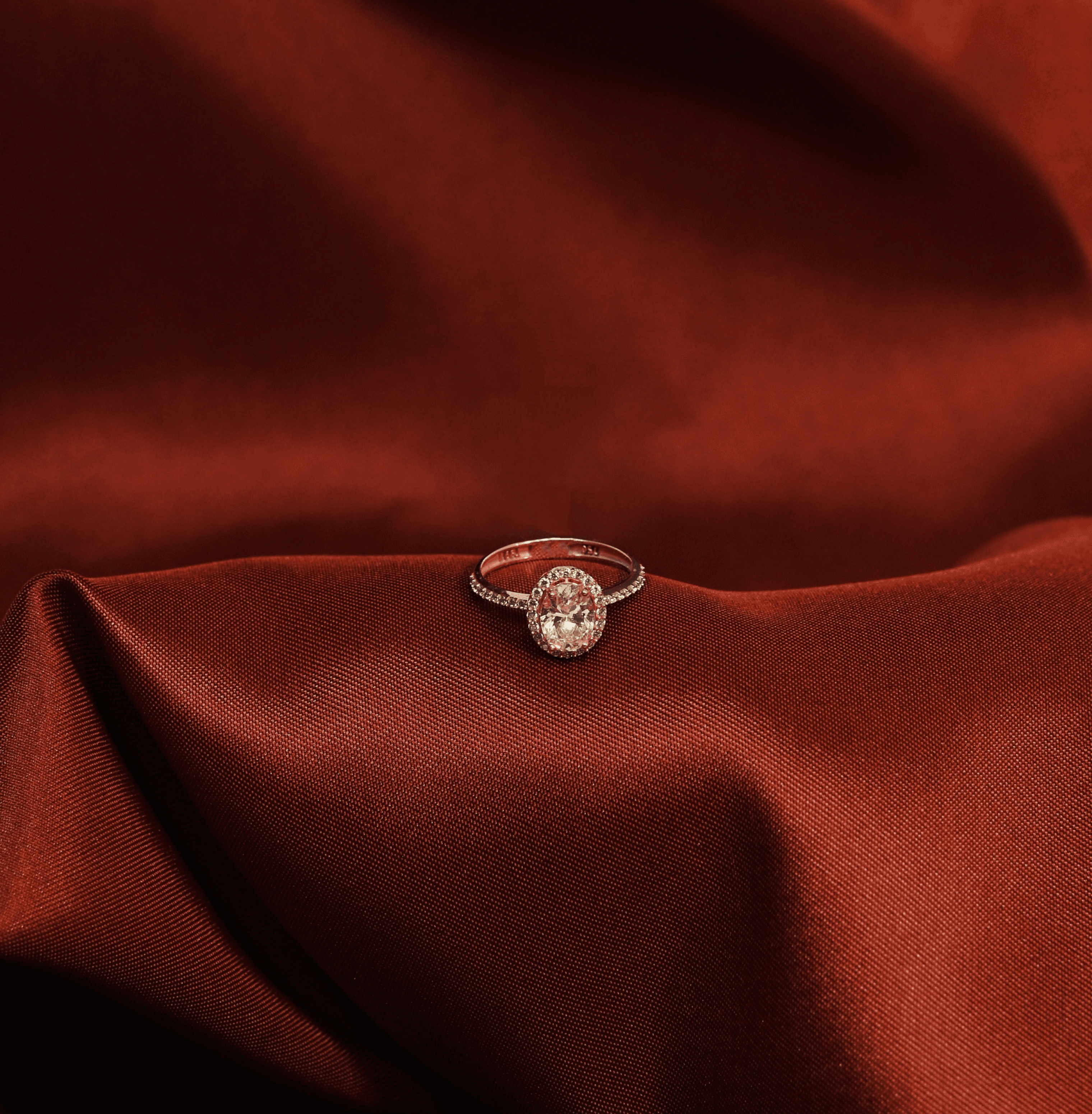 Ethereal dandelion seed heads in soft gradient light—fine filaments rendered in monochrome.