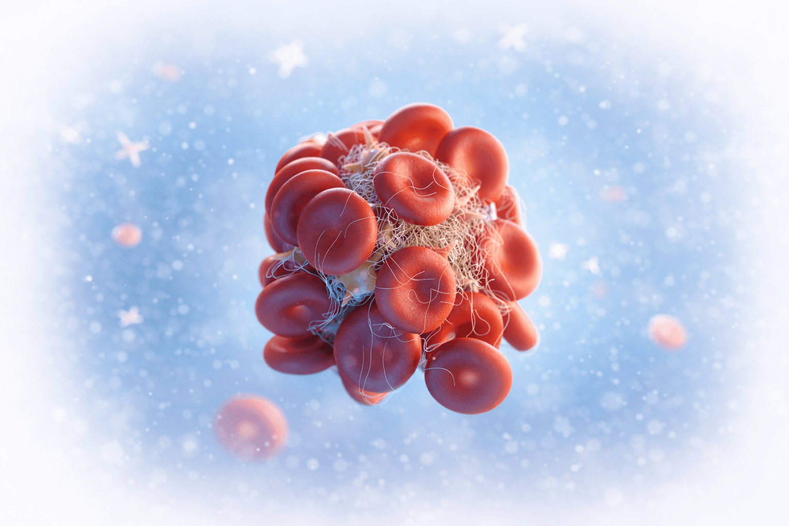 a red blood cell in a blood vessel