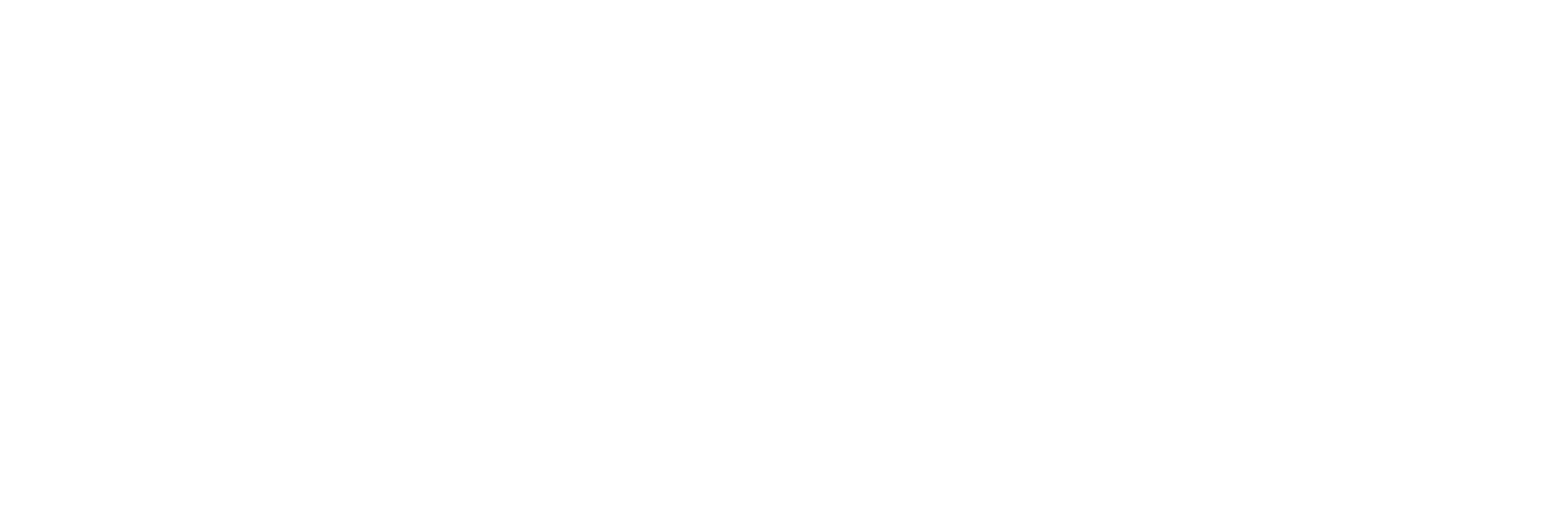 A dummy company logo