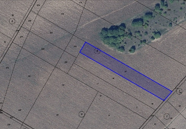 Земеделска земя за продажба в село Божичен