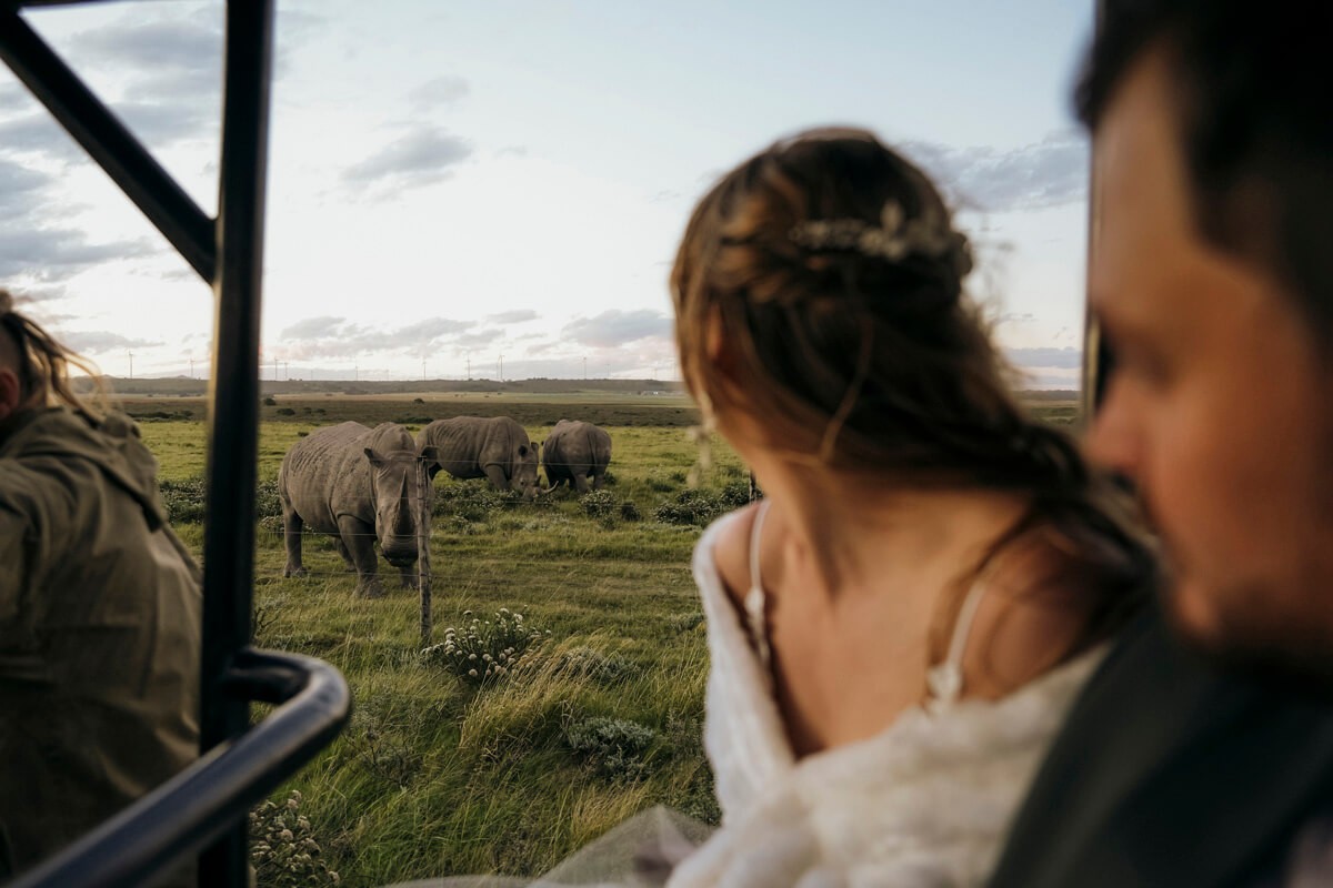 Bride and groom on safari game drive with rhino in background