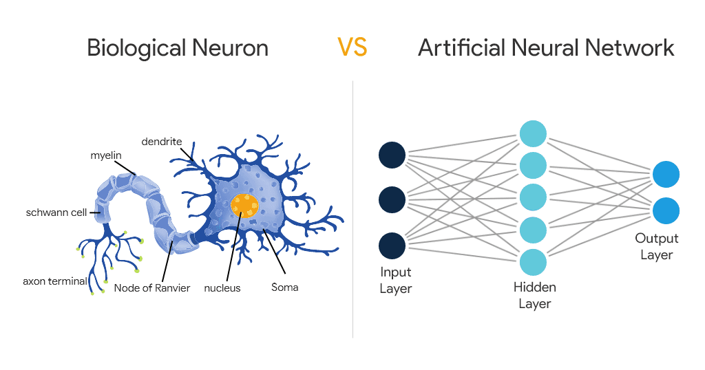 Artificial Neural Network