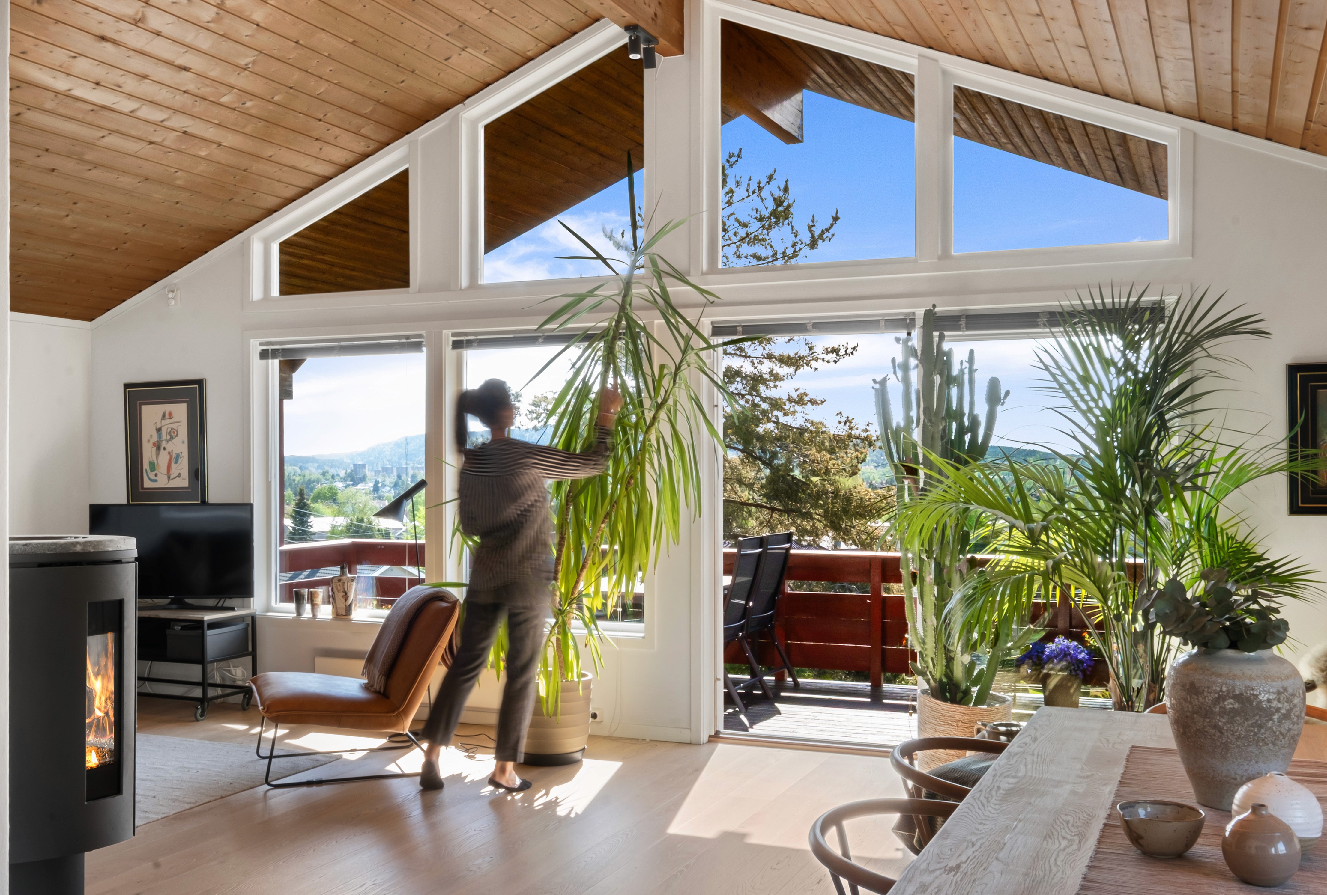 Person som vanner stor grønn plante foran panoramavindu med utsikt