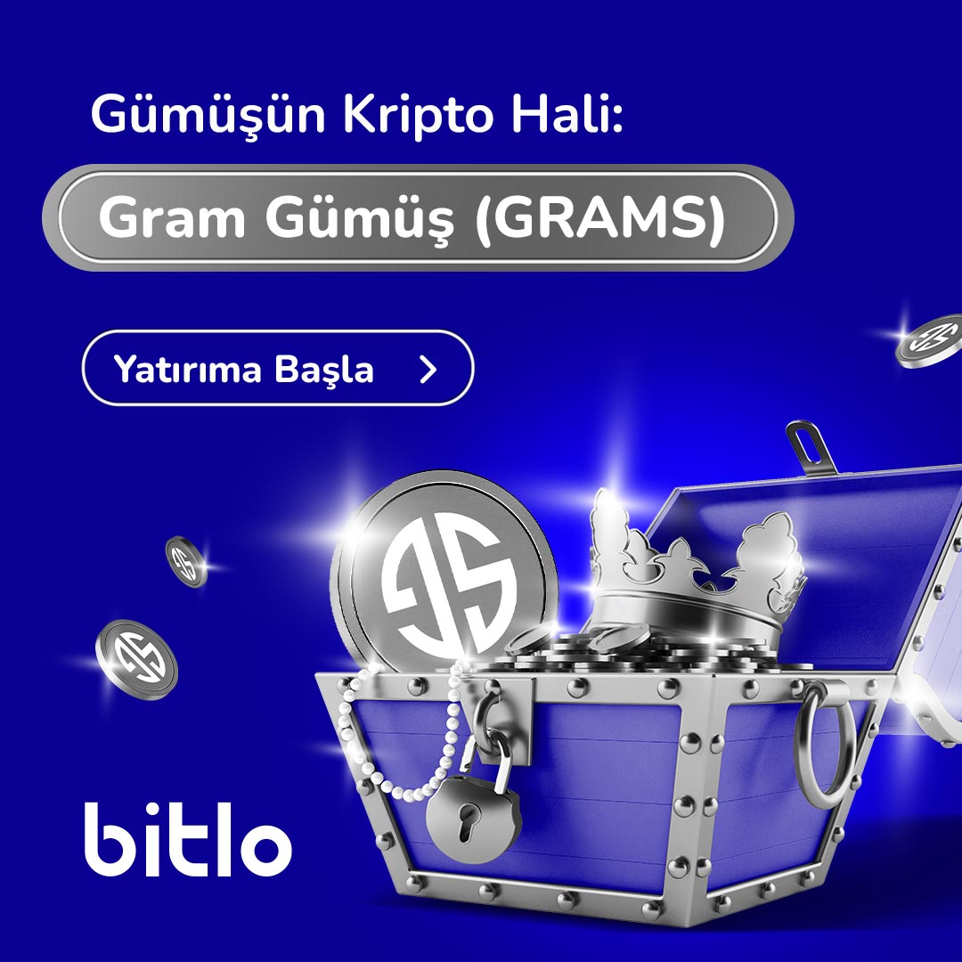 bitlo-sem-silver1