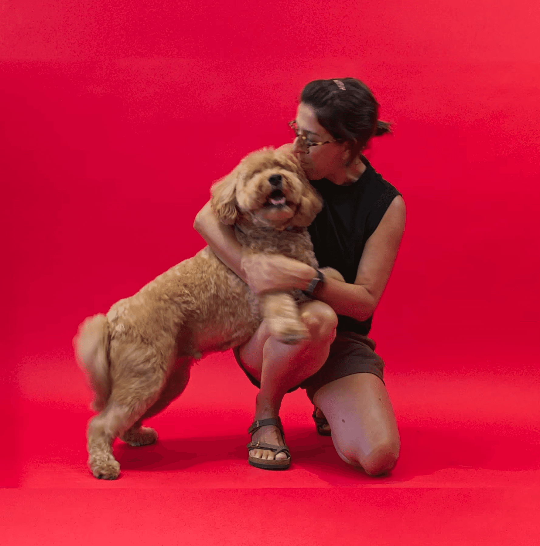 Candid photo of a man cuddling two small dogs to show affection, comfort, and personalized pet care.