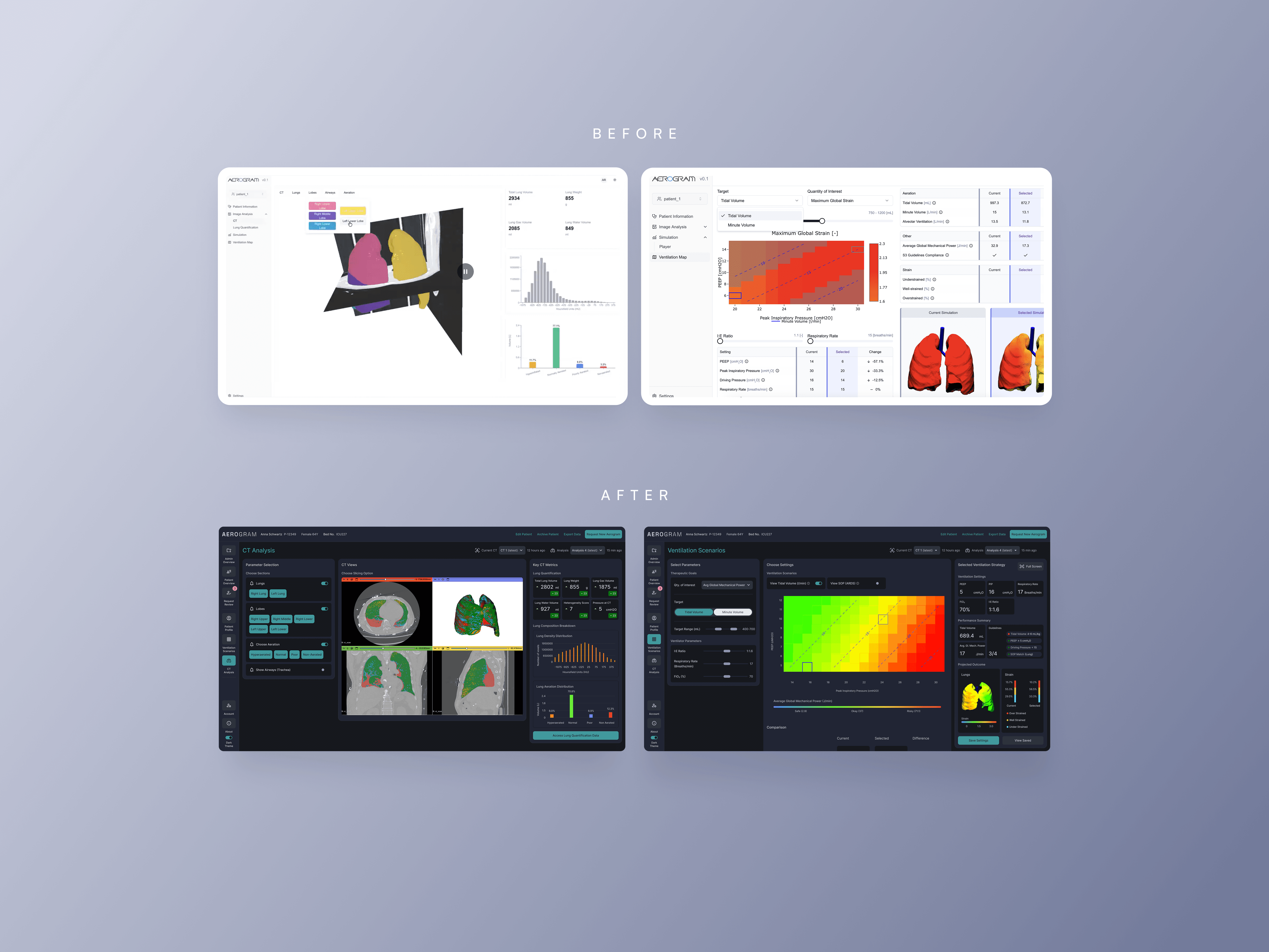 Large Project Gallery Image #2