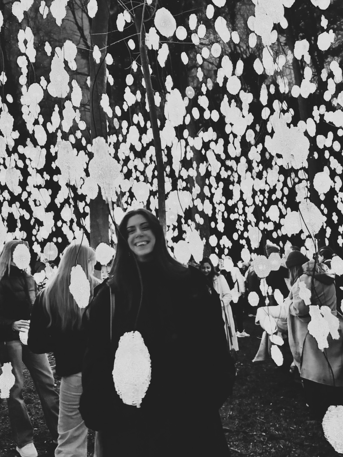 Dom Pérignon vineyards from the sky