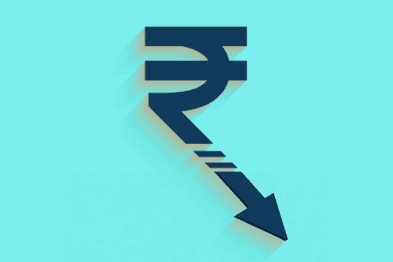 Close-up of lush, dark green leaves, some glossy and wet, against a muted background.