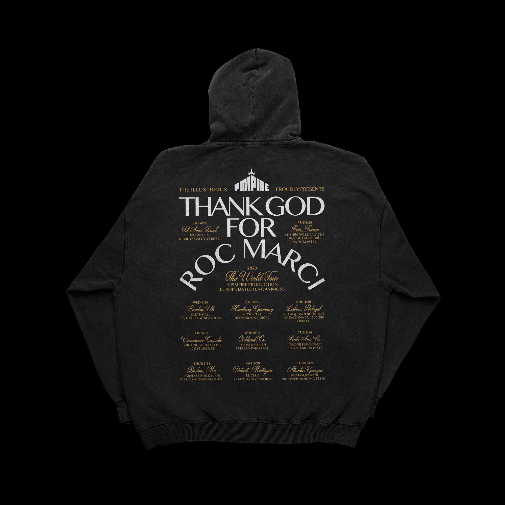 Hoodie version of the design