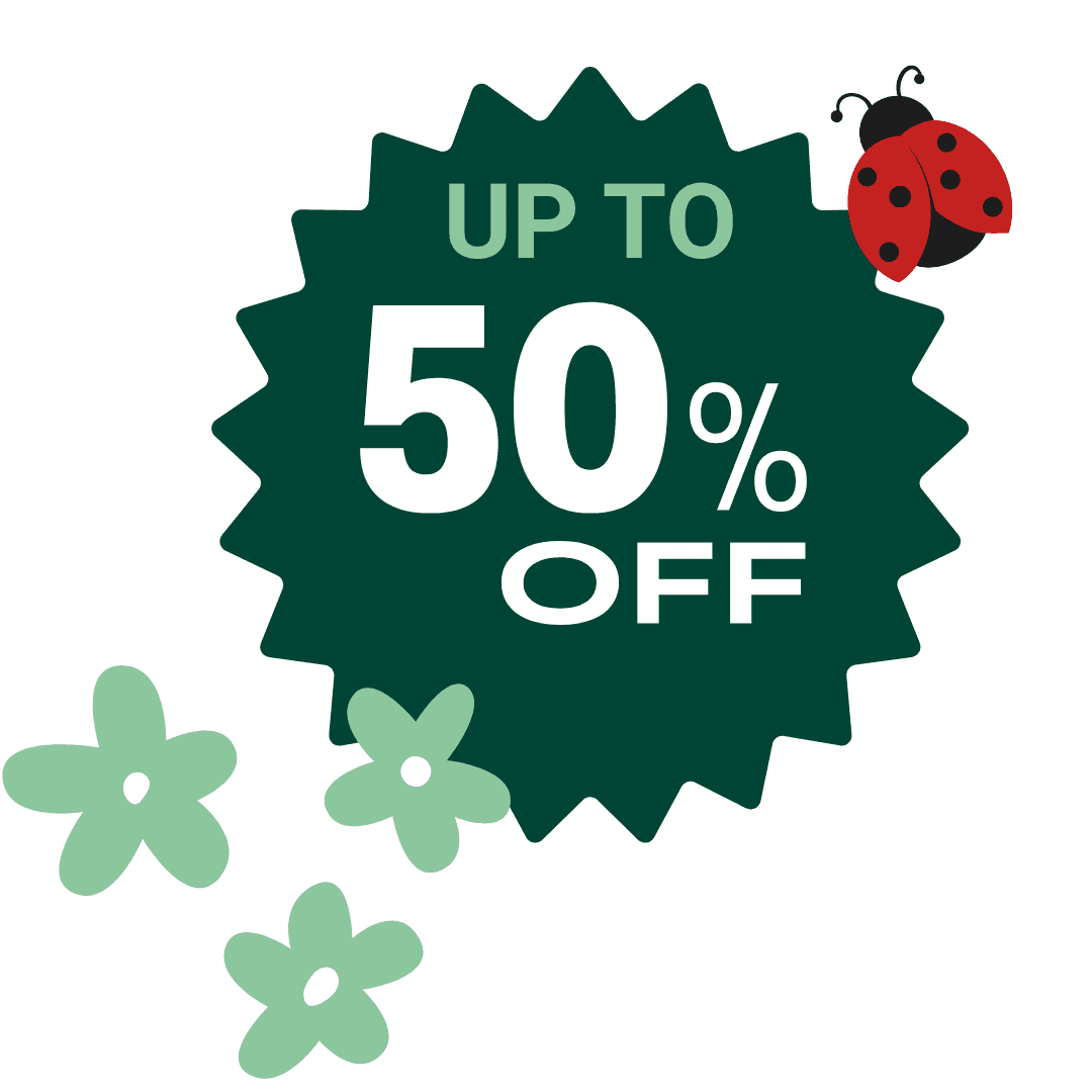 home page main image