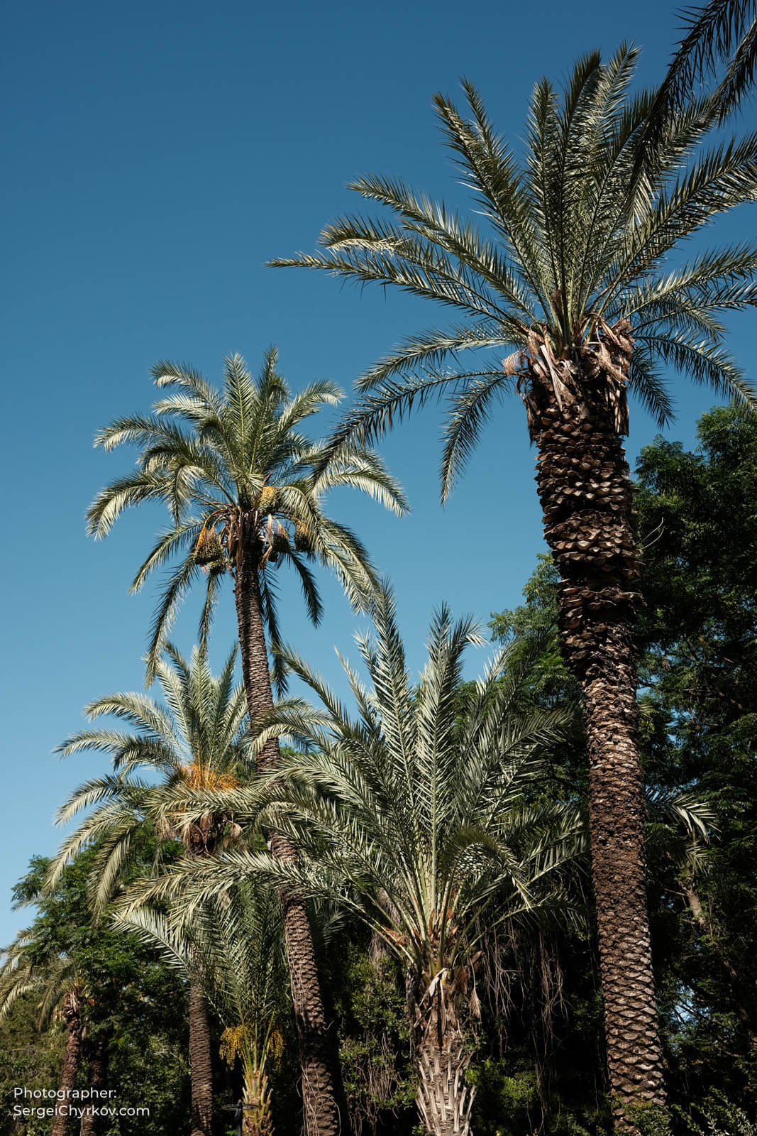 Antalya, Turkey. Photographer: Sergei Chyrkov.