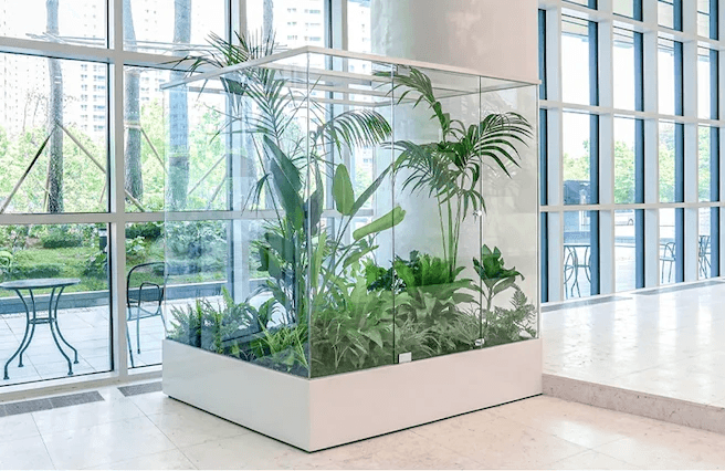 공기업 로비 실내조경