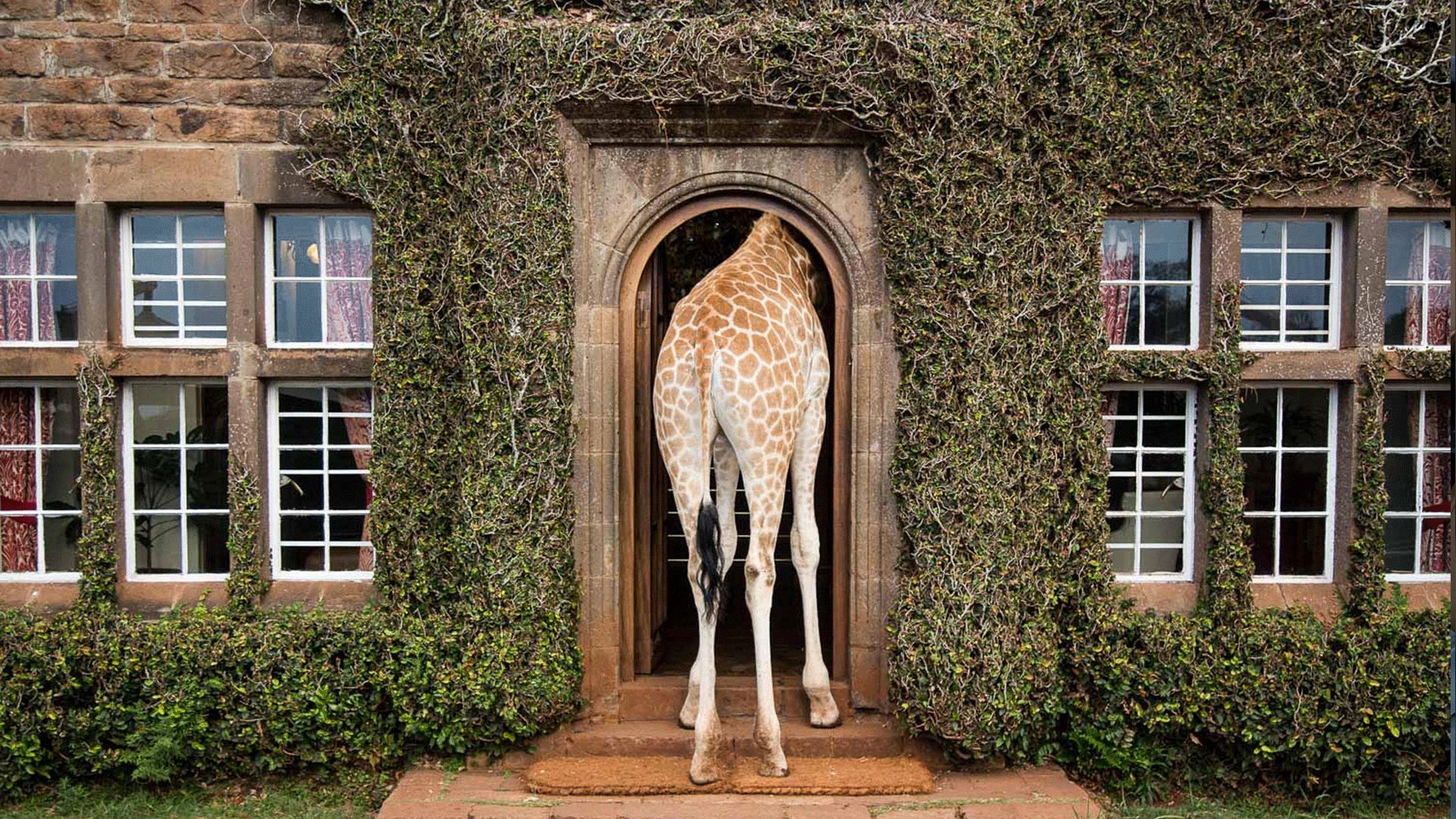 Giraffe Manor, Nairobi Kenya