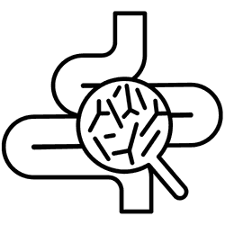 Holistic Approach Icon