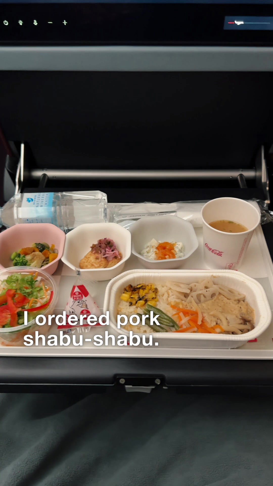 What's it like to fly on Japan Airliens JAL Premium Economy? | Seats | Social Media Campaign | Tokyo Video Production