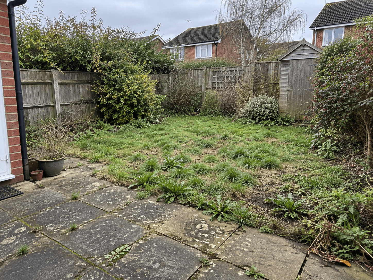 Overgrown garden and patio before clearance