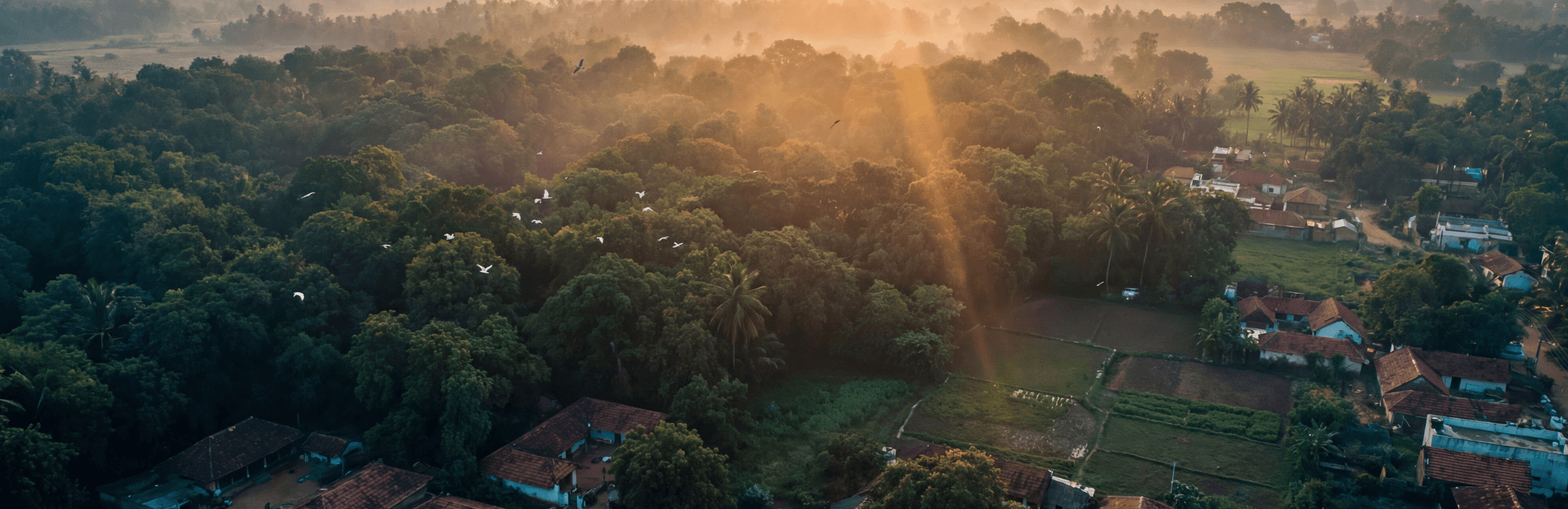 a black and white living room with a large tv