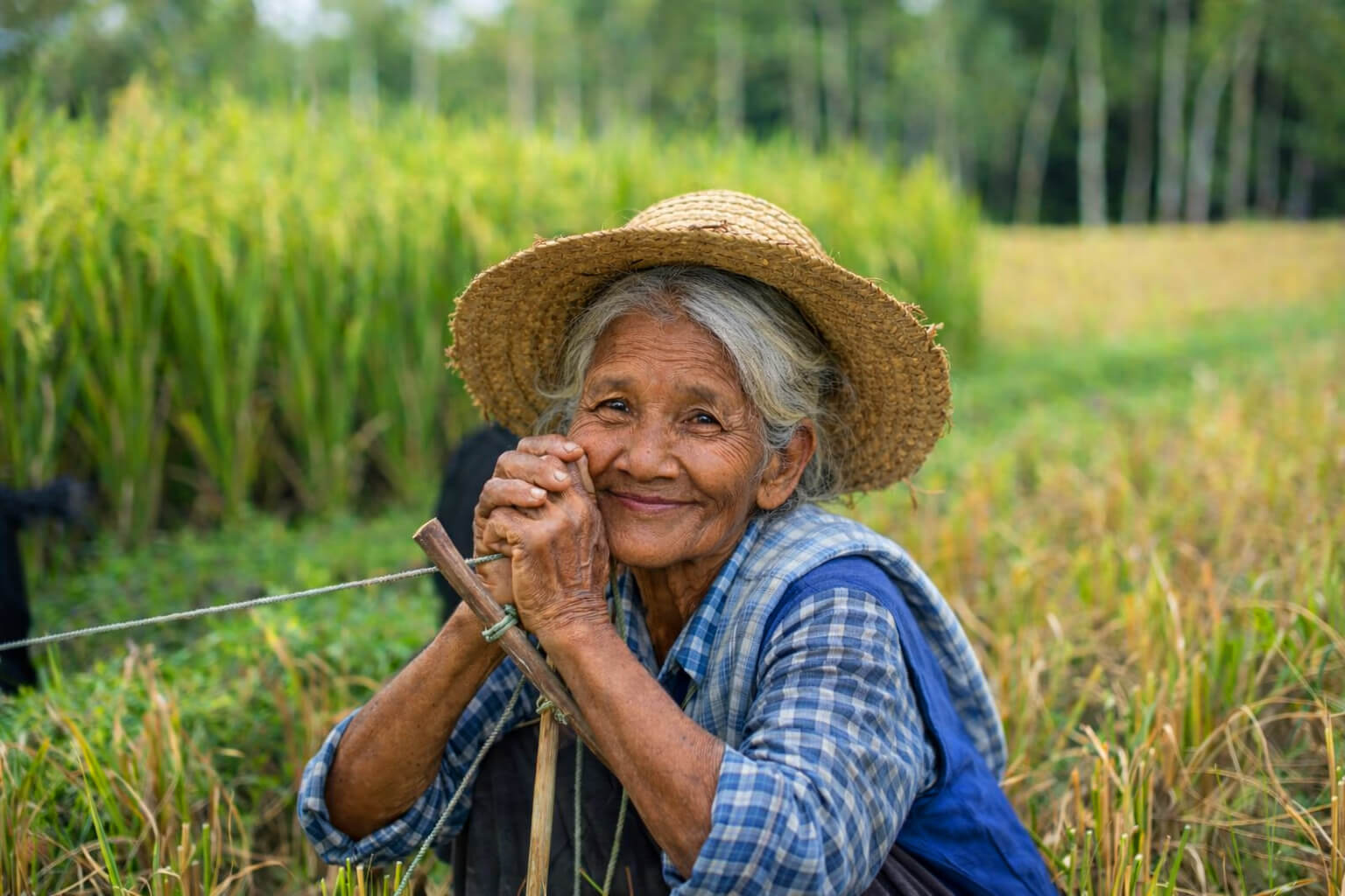 solar panel on the hill