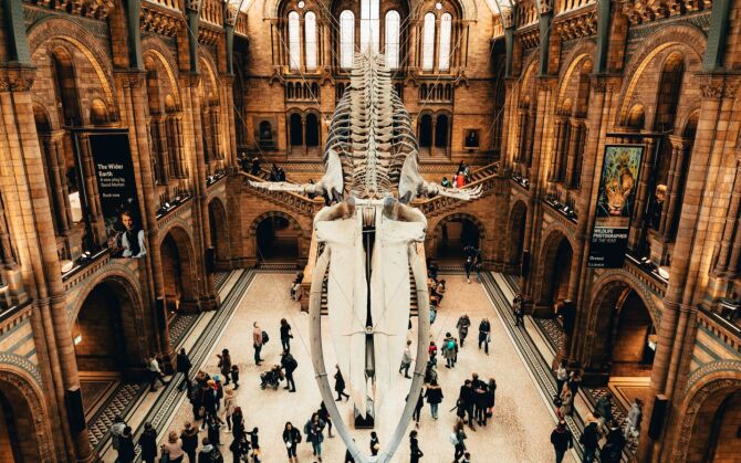 Natural History Museum&nbsp;