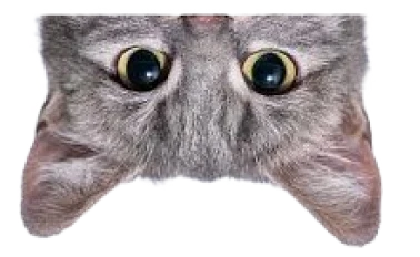 Configure sua agenda - Puplin