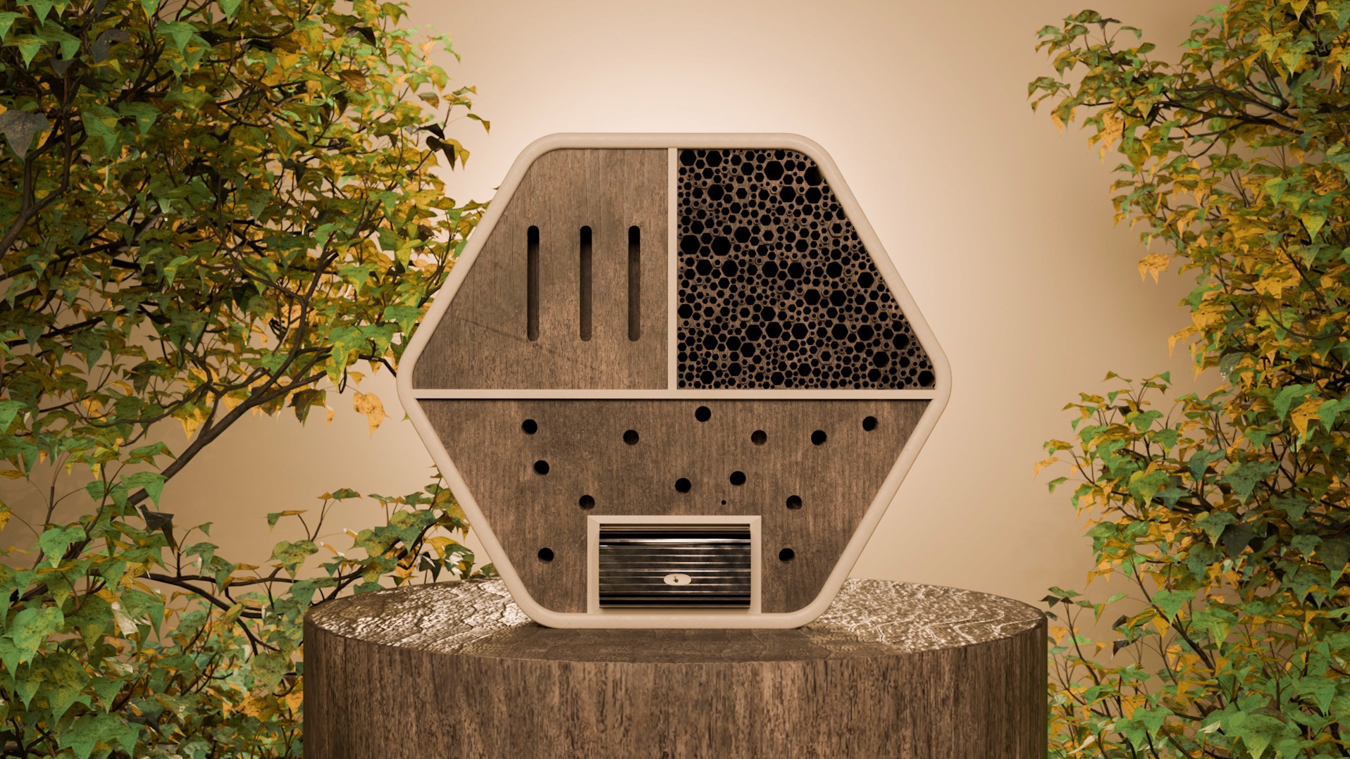 The image featured in the middle of the about us page