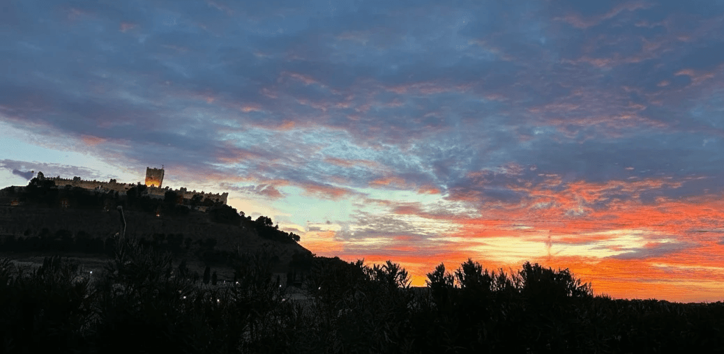 close-up-of-a-handcrafted-arched-wooden-door