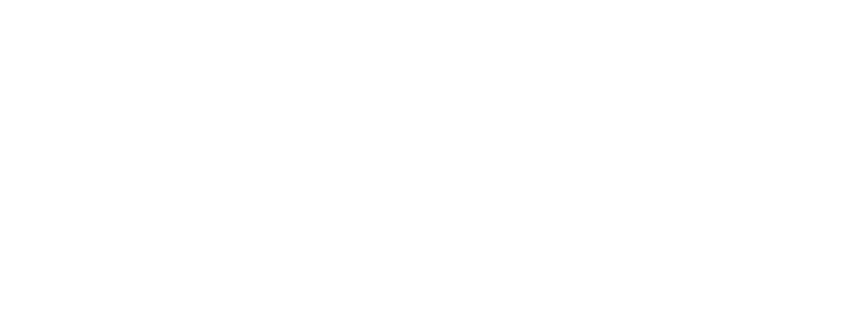 Check In Conciergerie logo white