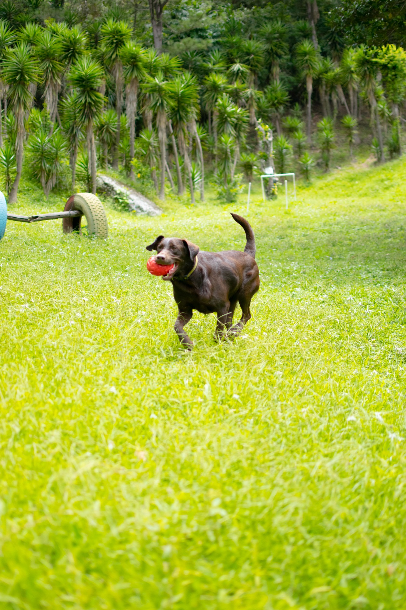 a woman wearing headphone