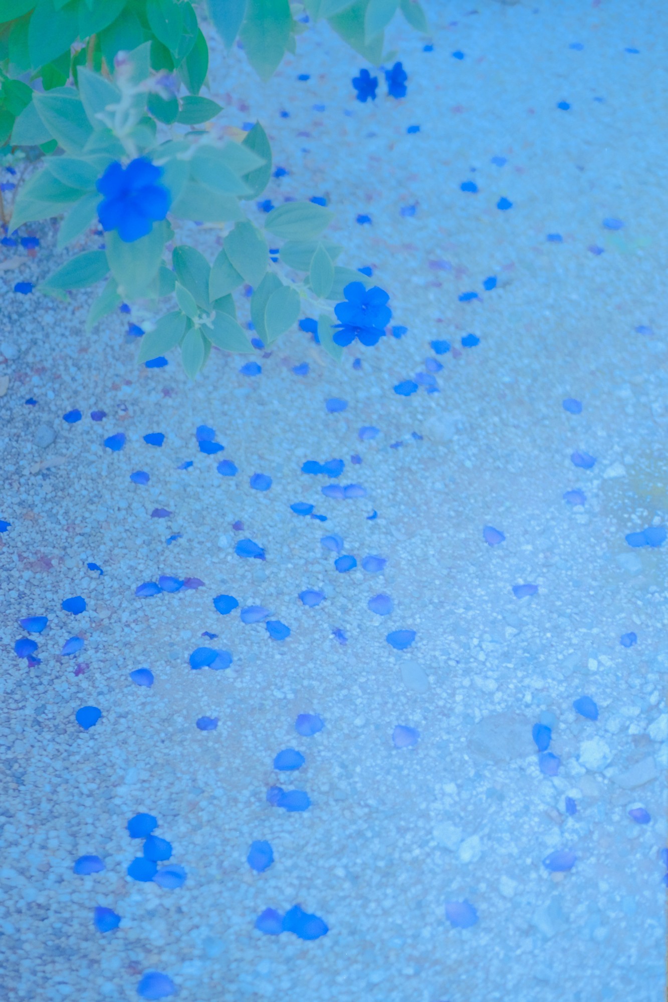 Taisei Matsumoto, 2023 exhibition work 001
