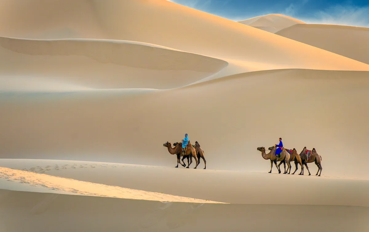 Camellos en el desierto del Gobi, Mongolia