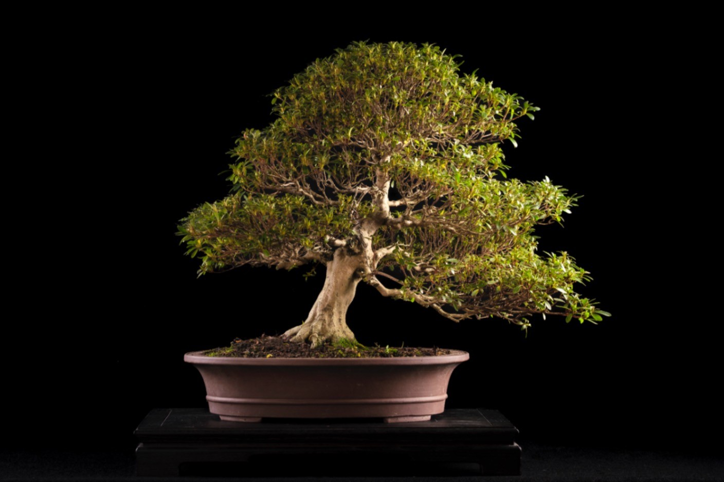 2 leden die een banner vasthouden van een evenement