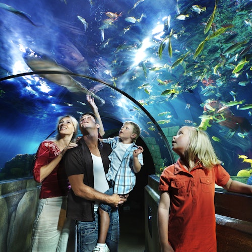 LEGOLAND®ビルンドリゾート：ビルンドでの入場券