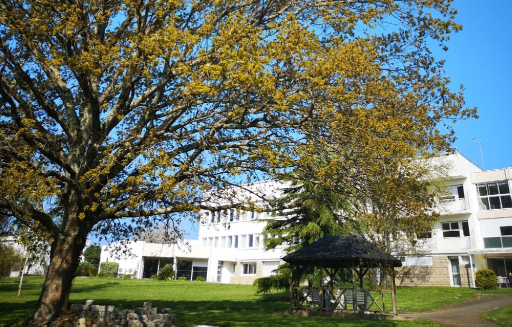 Modern white residential building with large golden autumn tree in foreground, green lawn, and clear blue sky