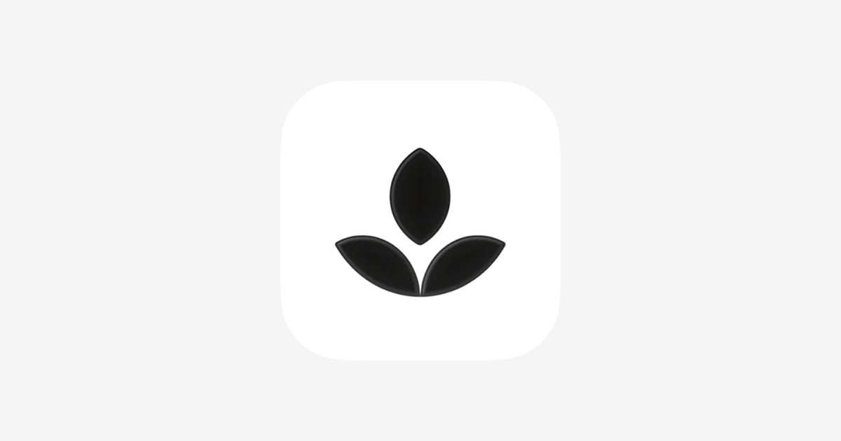 Emphasis app icon