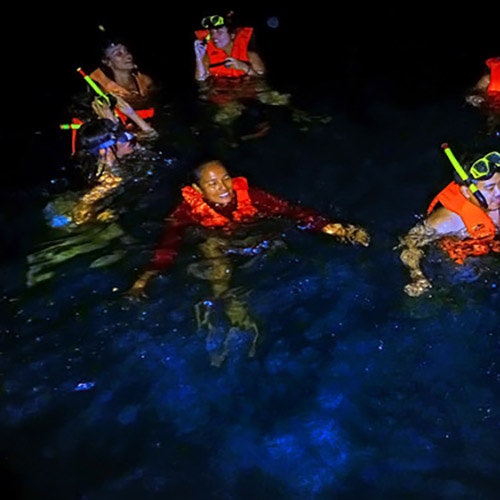 人们身穿救生衣和浮潜装备,在深色水中漂浮,周围的生物发光体创造出发光效果。