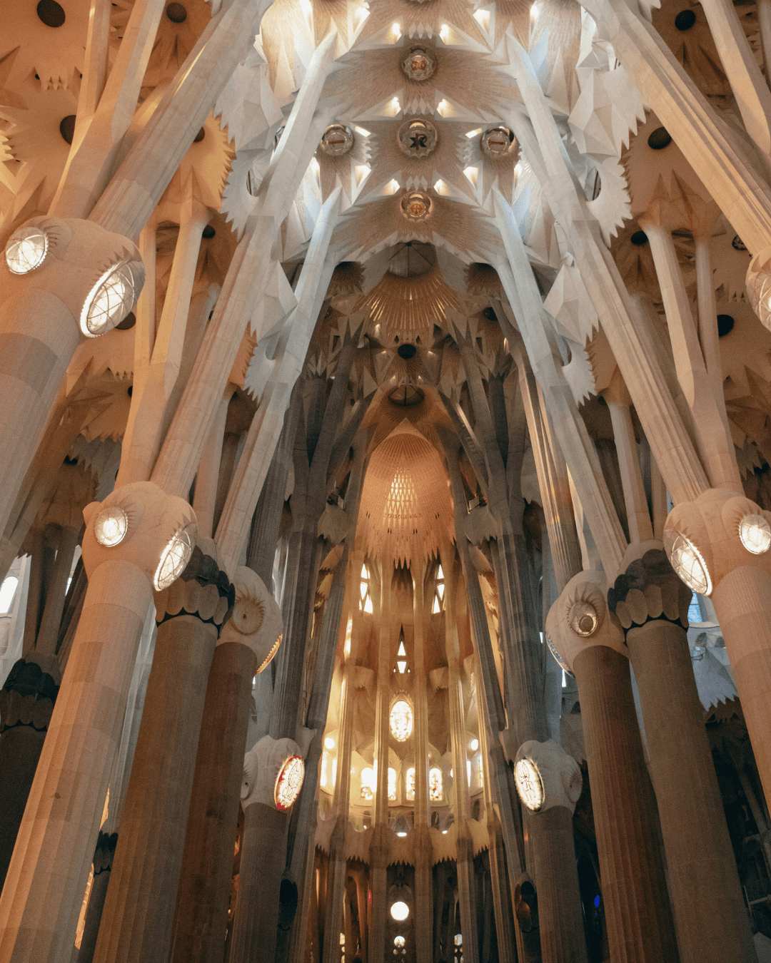 Interior columns of the Sagrada Família branching toward the vaulted ceiling.