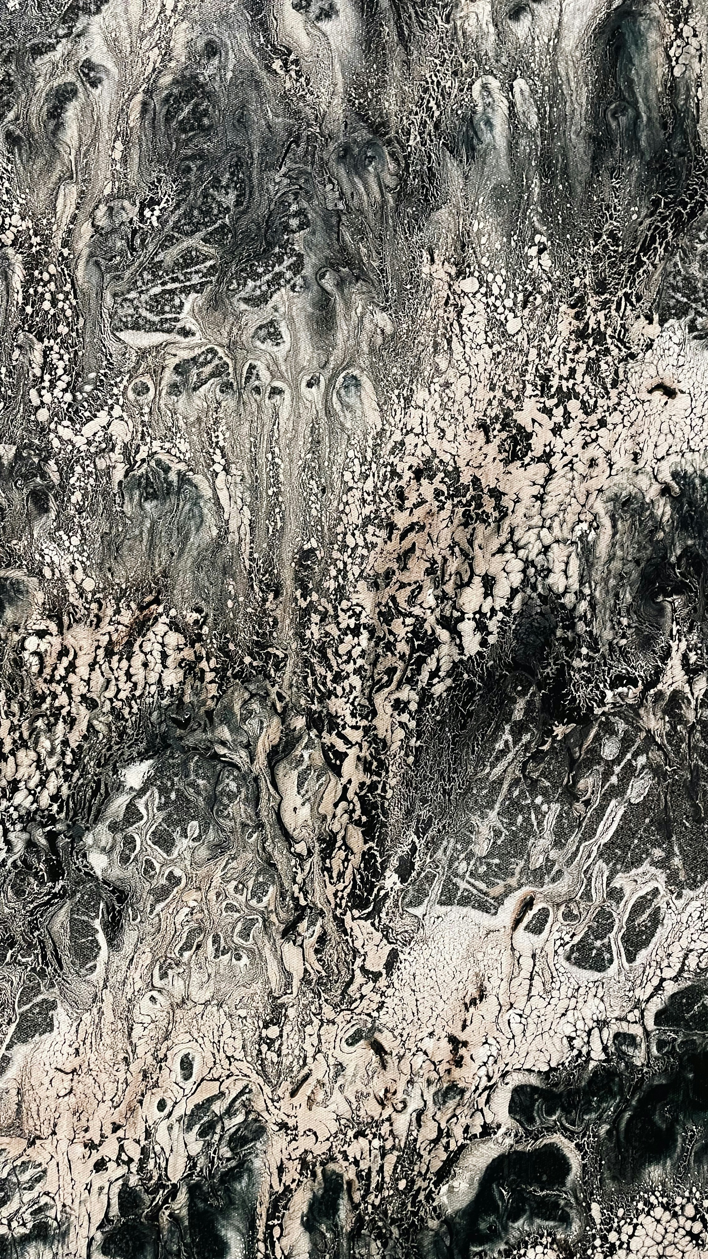 a black and white photo of a rock formation