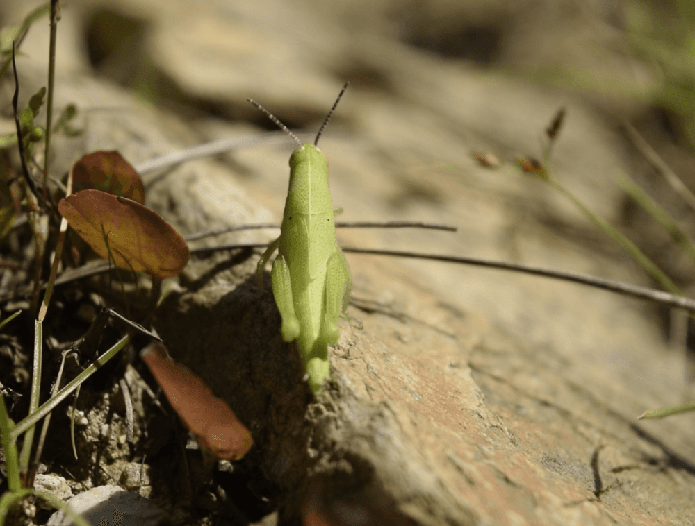 Example work of ui ux design