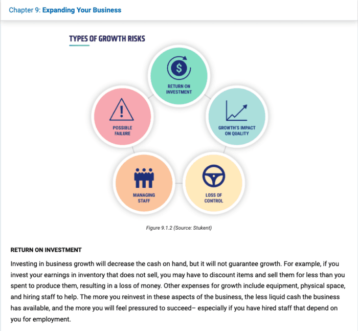 Screenshot from Chapter 9 of the Entrepreneurship courseware. The screenshot includes a model of the "Types of Growth Risks."