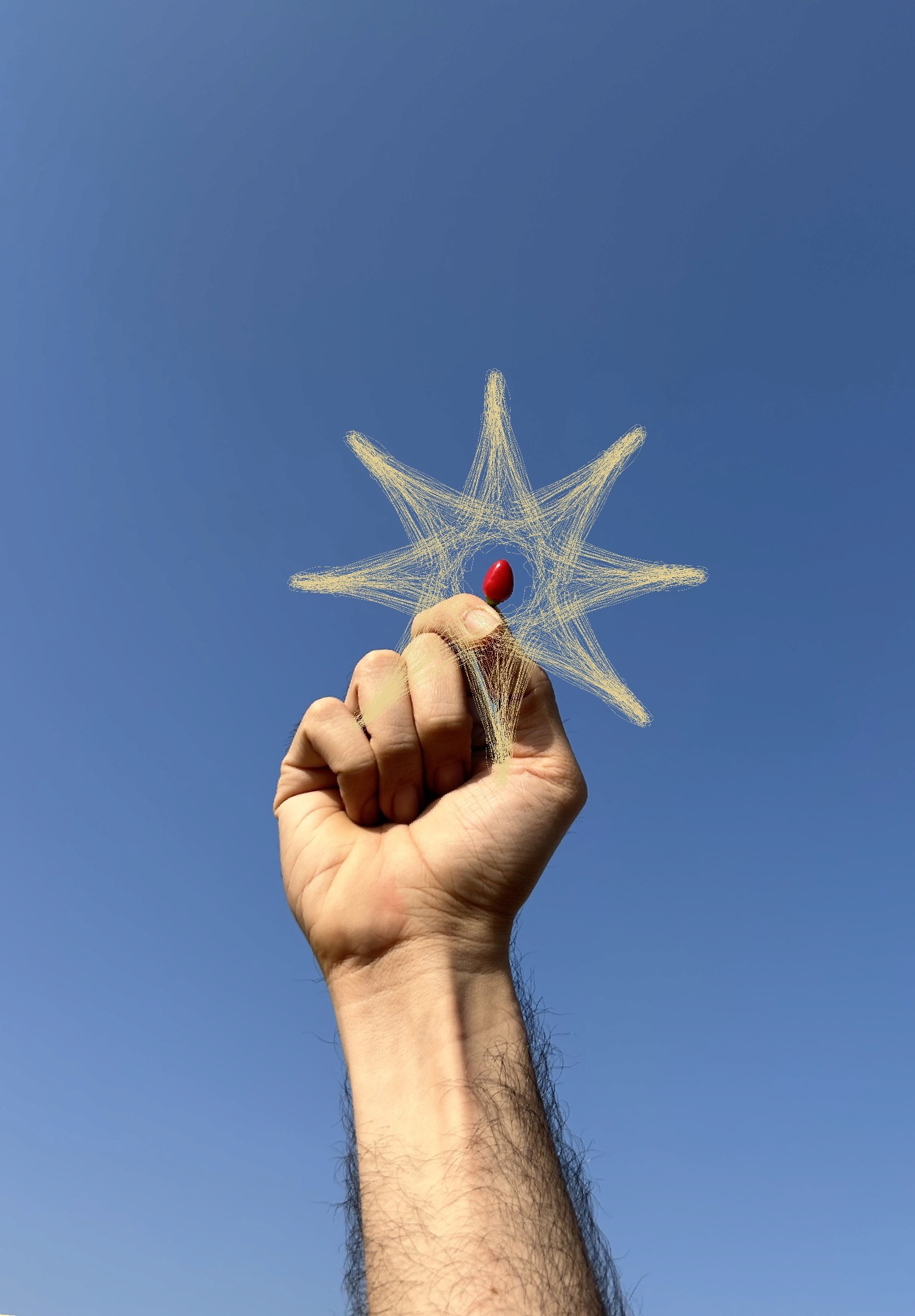 You can't work for Twitter, Elon Musk is different