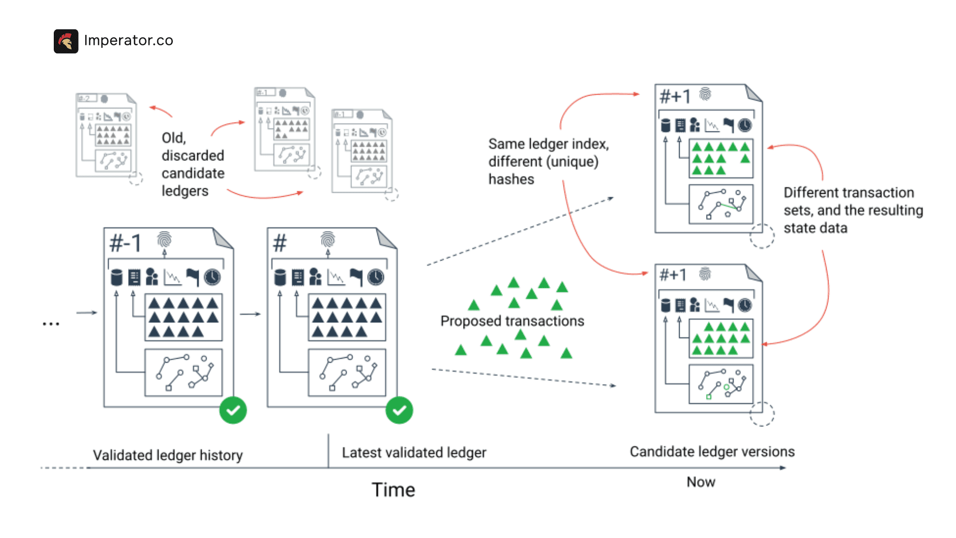 The XRP Ledger (XRPL) Consensus Process
