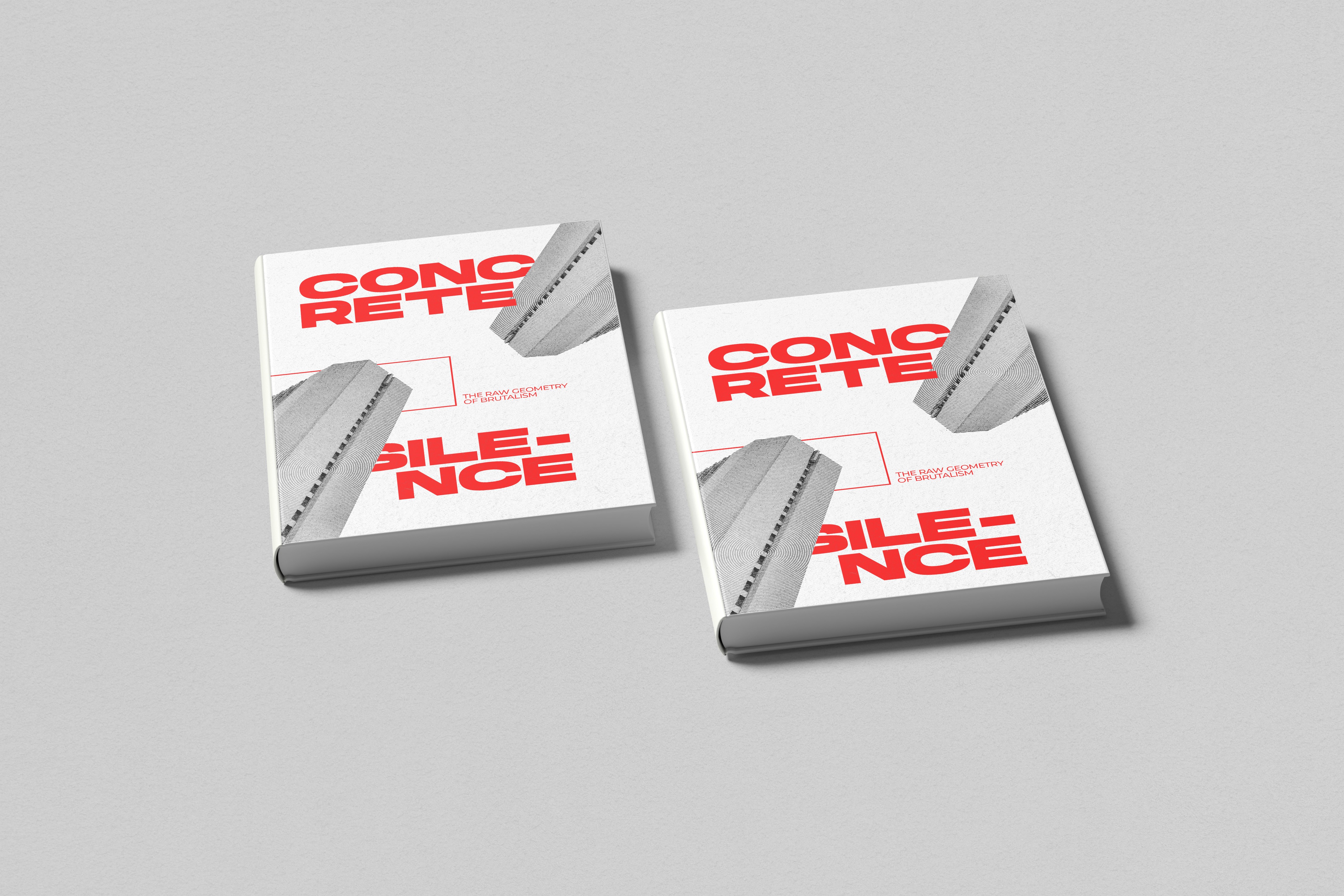 Large Project Gallery Image #1