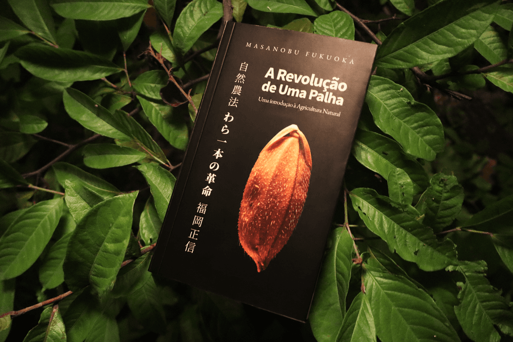 A dog with a Super Man cape.