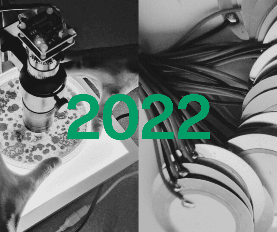 Street Art on a big wall