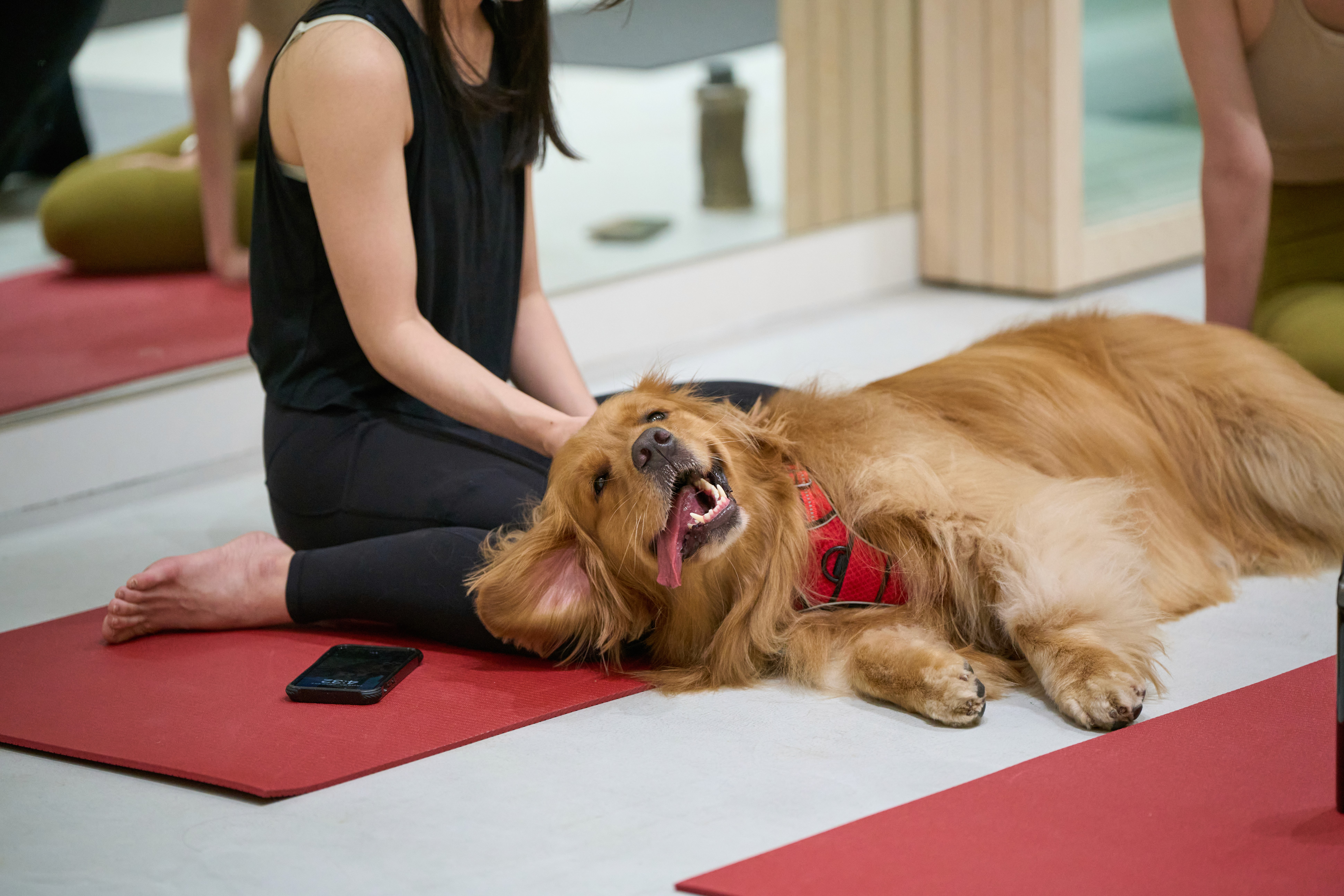 studio image of a lady sitting on a cool sofa
