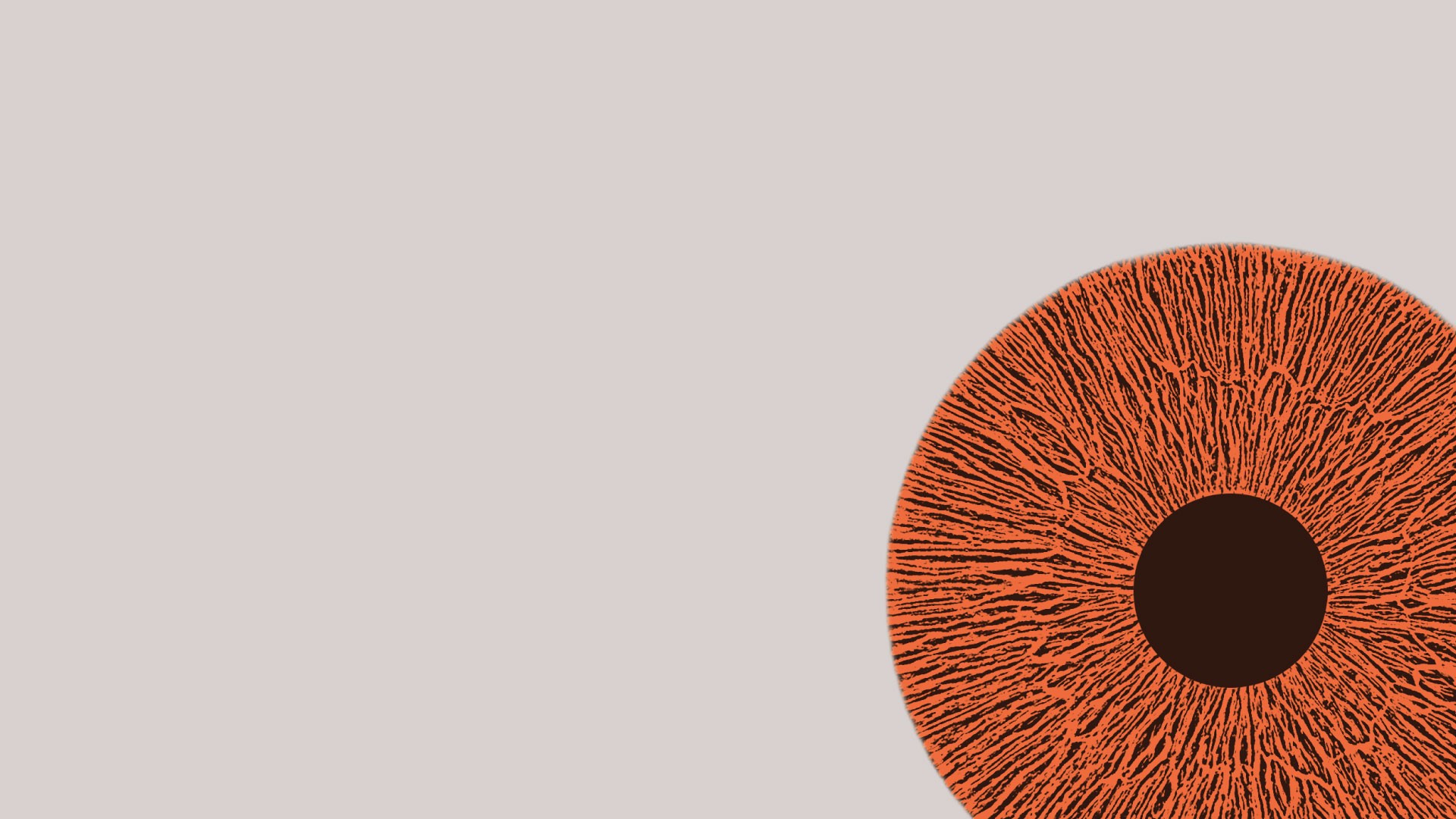 An illustration of a human iris and pupil.